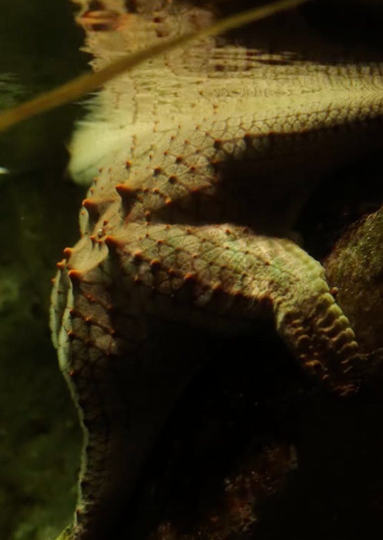 Sydney Social Circle Boat Party